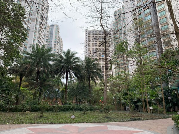 【多图】德瑞花园,东盟商务租房,万象城东盟商务区幸福里地铁口航洋