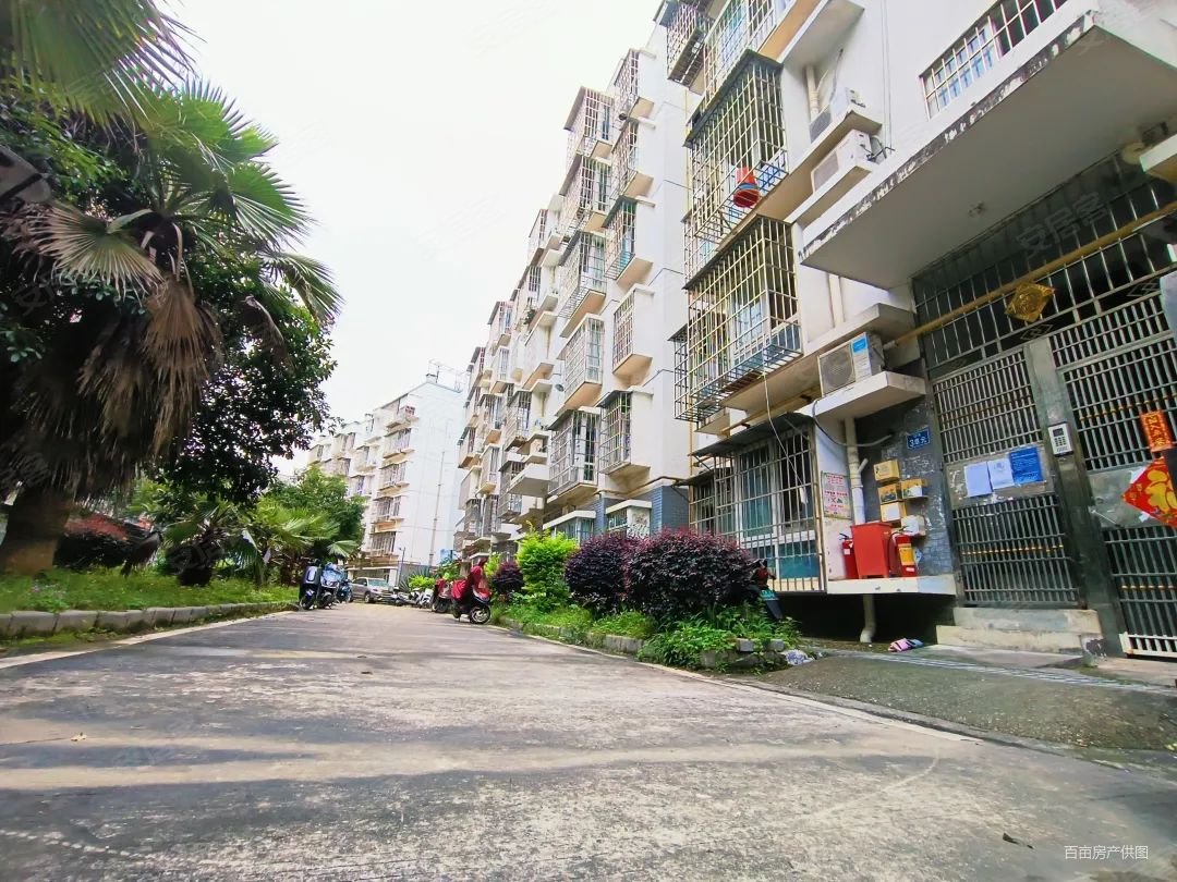 鱼峰区东环路八中金盛广场西船大院步梯2楼房龄新