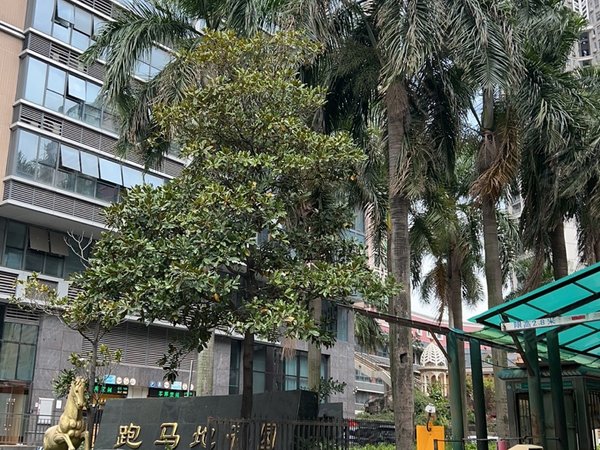 【多图】喜洋居,天河公园租房,上社村天河公园大户型小区合租民房全