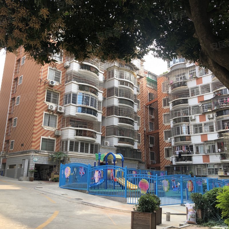 【金枫园, 金枫园小区详情,房价走势,房源,业主论坛】- 厦门58同城