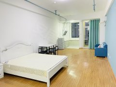 合肥新站陶冲湖四号线地铁旁精装一室公寓 价格便宜出租房源真实图片