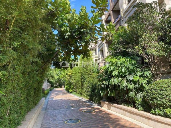 南宁青秀凤岭北荣和公园墅青秀区凤岭北高端别墅出租,拎包入住,适合做