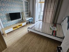保定莲池东湖公园新出房源 未来石万达旁海棠园 繁华地带 慢无 精装修出租房源真实图片