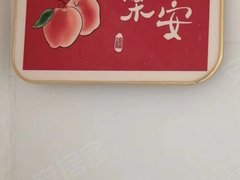 泛美华庭50平，一室一厅，精装修，家具家电齐全，拎包入住，