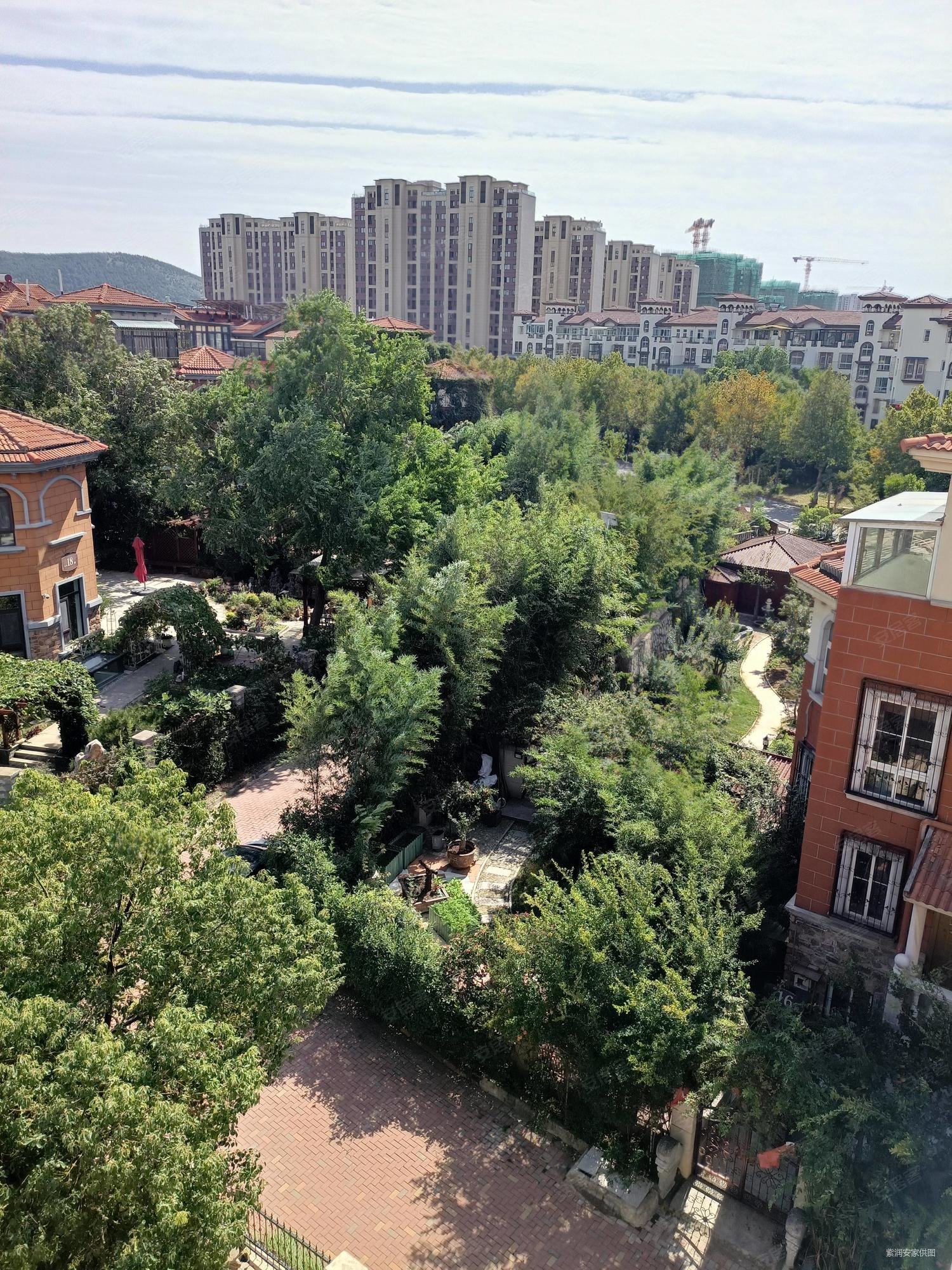 泉山森林海(别墅)4室2厅3卫172.21㎡南北225万