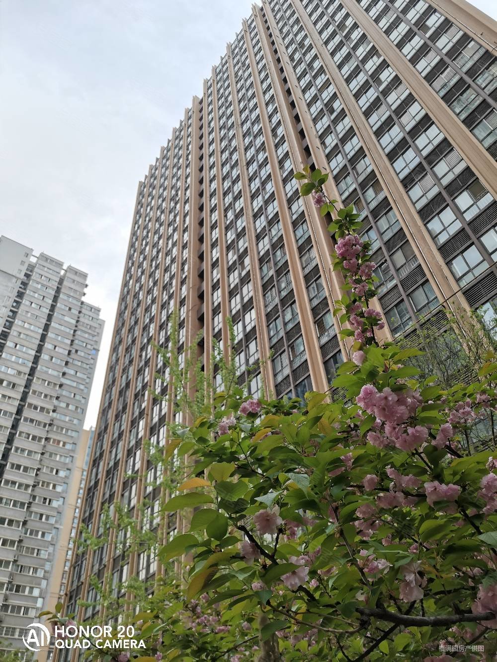 大学南路82中东泰城市之光两室精装修有证可贷款