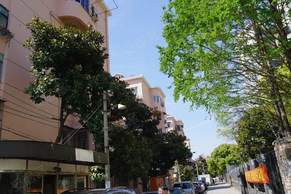 金浦小区(塘桥)