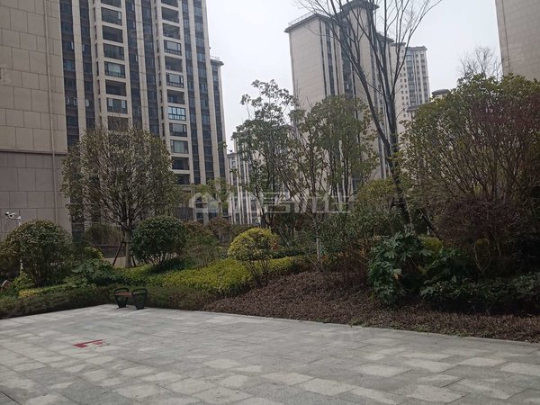 【多图】碧桂园西南上城天悦府,商贸城租房,整租3室碧桂园西南上城