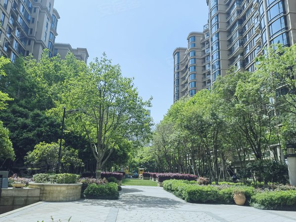 绿城皇冠花园一期 精装两室一厅 近宝龙研发园,高新区租房-宁波58安居