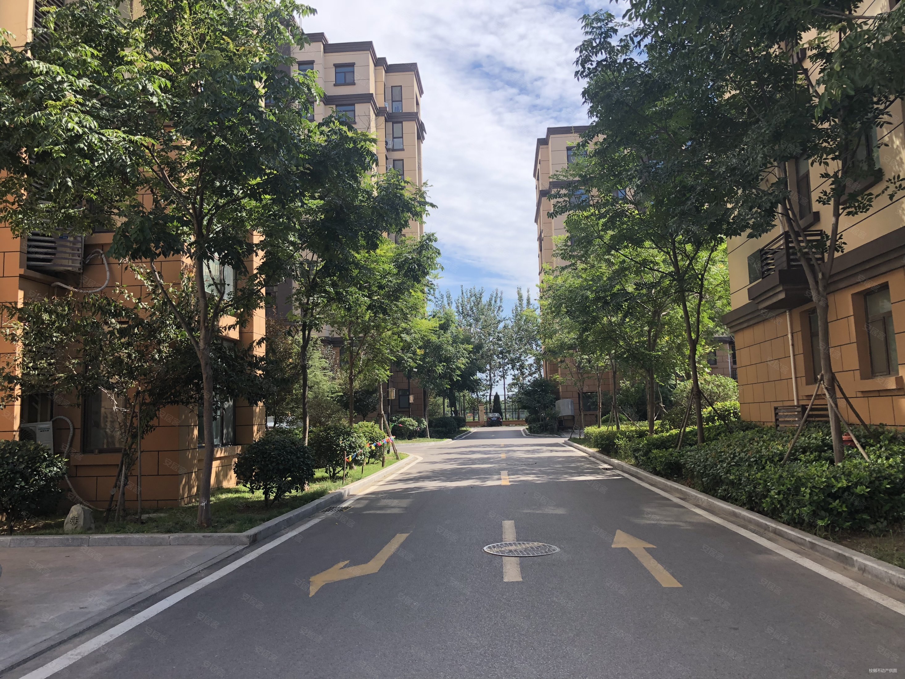 书香华府满五电梯楼楼层好