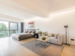 北京朝阳十里堡新上好房实拍推荐 公园1872国际公寓豪华装修一居室出租出租房源真实图片