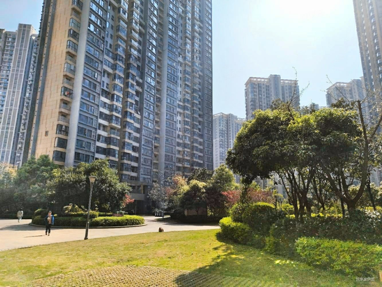 北辰三角洲奥城e3区1室1厅1卫52.47㎡南北65万