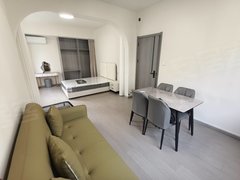 合肥高新客运西站安医附院 置地创新软件园 海亮别墅套内 汽车西站地铁口出租房源真实图片