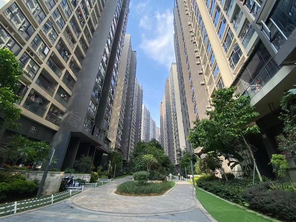 【多图】百丽名苑,观澜租房,免费停车 观澜大水坑 百丽名苑 精装南北