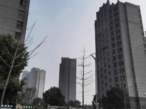 【多图】华亭茗苑,九亭租房,漕河泾园区,精装两房双阳台,舒适温馨采光