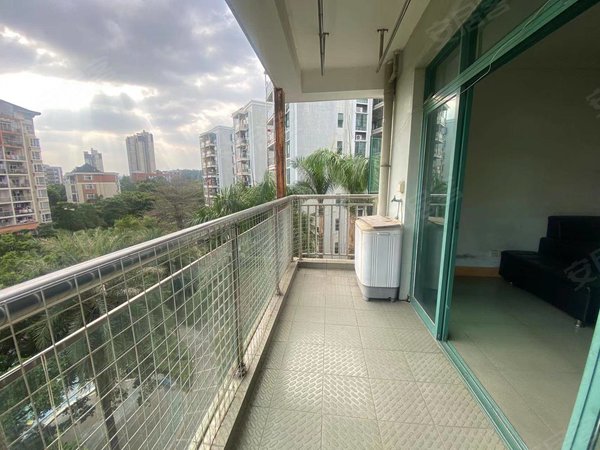 广州增城新塘新康花园新康花园 3室2厅2卫 电梯房 精装修 124平出租