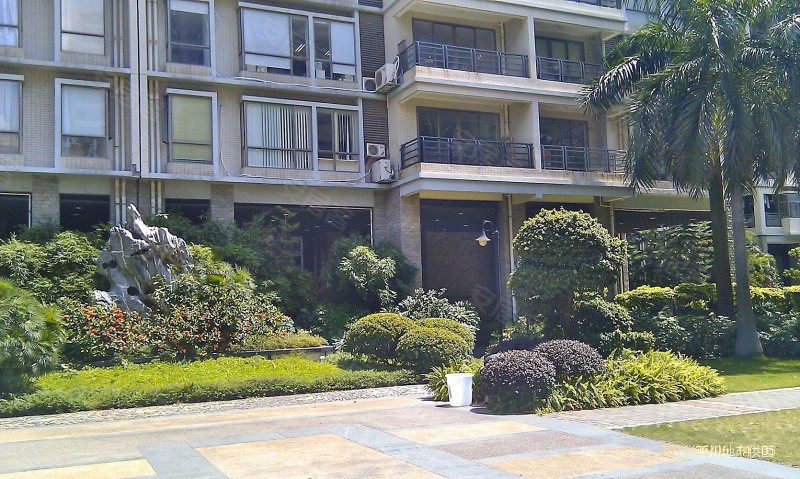 急售世港花园大三房看房方便上升空间大南北对流