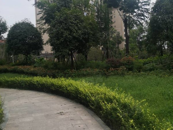 成都武侯簇桥水岸花园b区清水套一,带家具家电出租房源真实图片