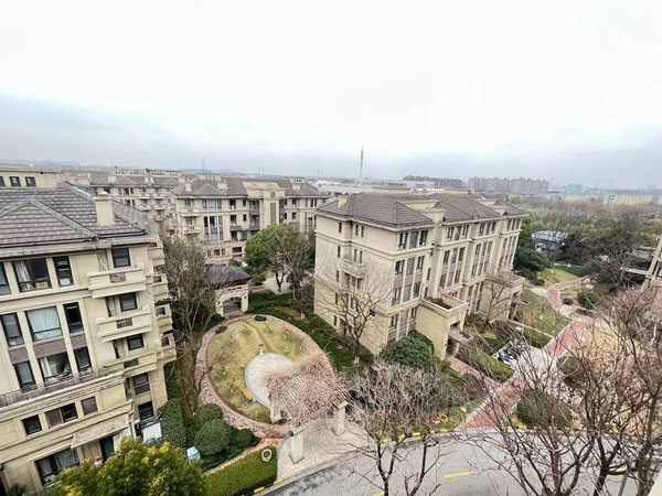 上海青浦赵巷万科锦源(公寓住宅)17号赵巷地铁站附近300米高档别墅区