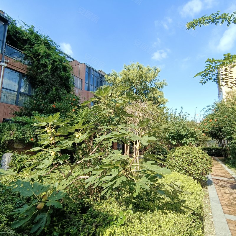 澜泊湾(别墅)小区详情,房价走势,房源,业主论坛】- 苏州58同城