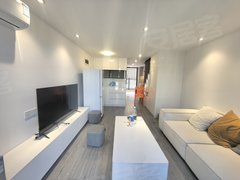 东莞黄江天虹融创公园首府(商住楼) 2室1厅1卫  电梯房 精装修出租房源真实图片