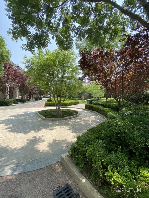 天津房产网>天津二手房>静海二手房>团泊镇二手房>伍杄岛梧桐岛>