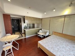 东莞道滘道滘城区钜隆碧琴湾(商住楼) 1室1厅1卫 电梯房 拎包入住出租房源真实图片