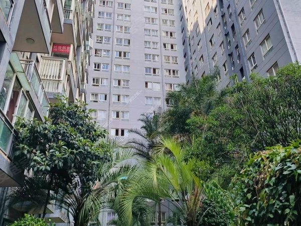 金鼎科技园旁2室海天考研附二院工人医院金泰国际黄土坡