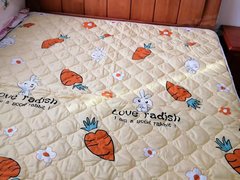 澄迈大丰大丰城区华西芙蓉海 2室1厅1卫出租房源真实图片