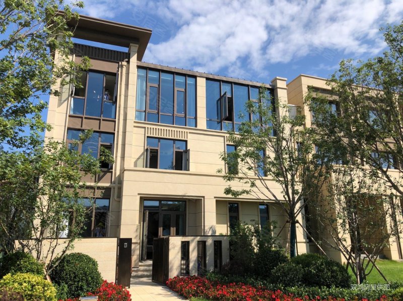 鑫创国际健康科技小镇(别墅)6室5厅5卫143㎡南北165万