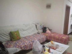 邹城兖矿医院兖矿医院片区一楼 兖矿一中附近 家具家电齐全 拎包入住 南北通透方便看房出租房源真实图片