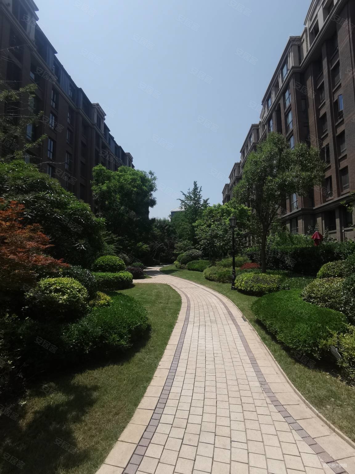 普罗旺世龙之梦西苑