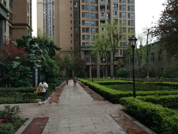 重庆九龙坡巴国城渝高幸福九里巴国城商圈精装2房,直租免中介费!