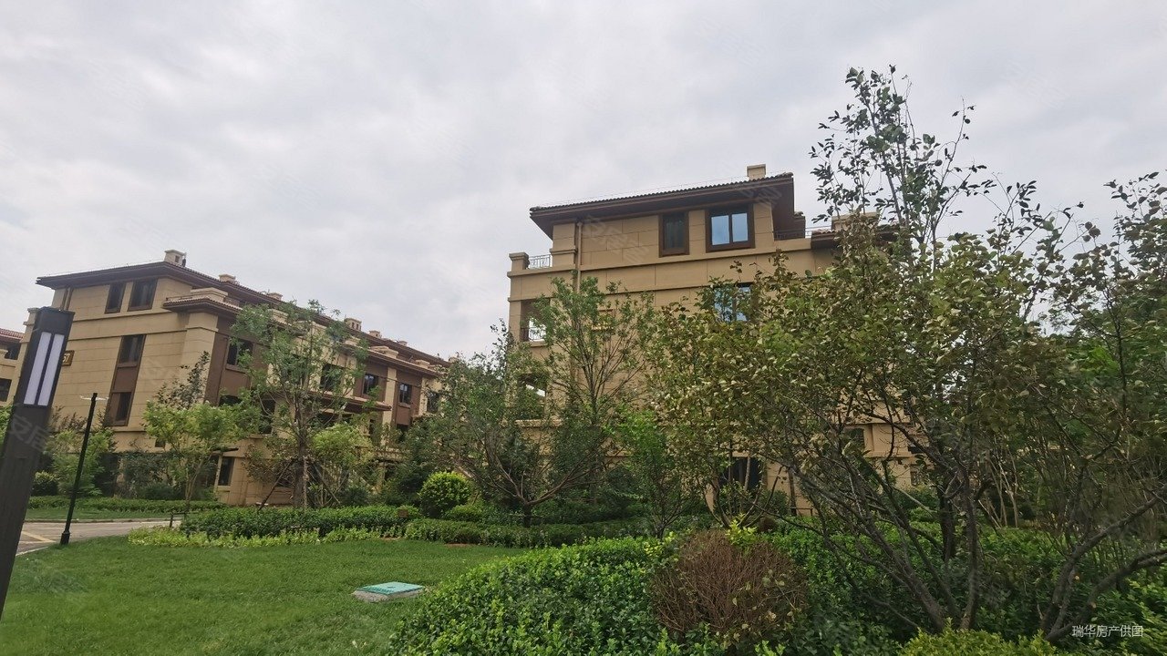 牛驼 新品 准现房别墅 独立车位花园 超大赠 外地可买,世茂璀璨天城