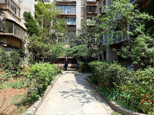 昆明官渡昆明站南窑新村急租 昆明站  春城路 地铁站旁 南窑小区两房