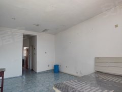 七台河新兴七台河站北岸6楼的公寓装修简约而精致，宽敞的客厅里摆放着现代风格出租房源真实图片