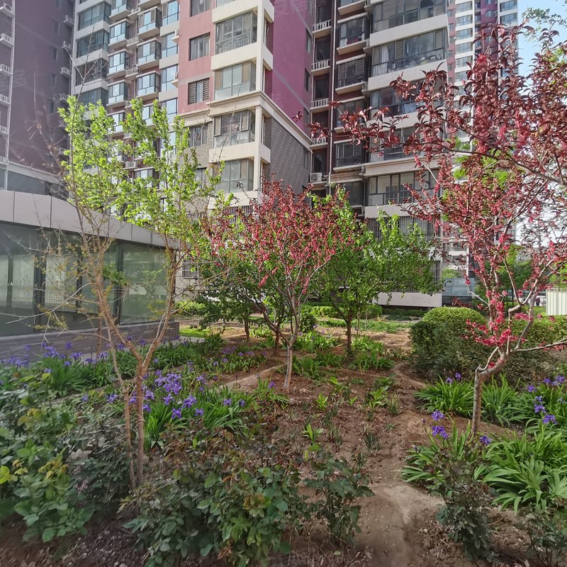 【紫金花园, 紫金花园小区详情,房价走势,房源,业主论坛】- 衡水58