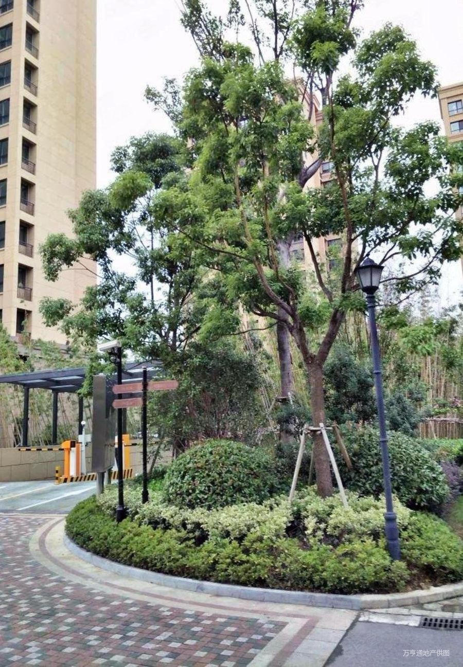上海房产网>上海二手房>金山二手房>金山新城二手房>新城旭辉府>