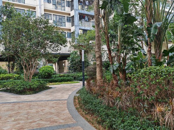 深圳宝安沙井西荟城三期西荟城精装3房,业主自住,出租出租房源真实