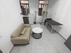 深圳龙岗龙岗中心城龙岗中心城 爱联天光城 吉祥地铁 精装修一房一厅拎包入住出租房源真实图片