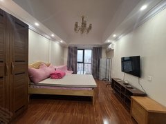 黄石黄石港万达广场黄石港万达公寓 精装一室一厅 家电齐全随时看房出租房源真实图片