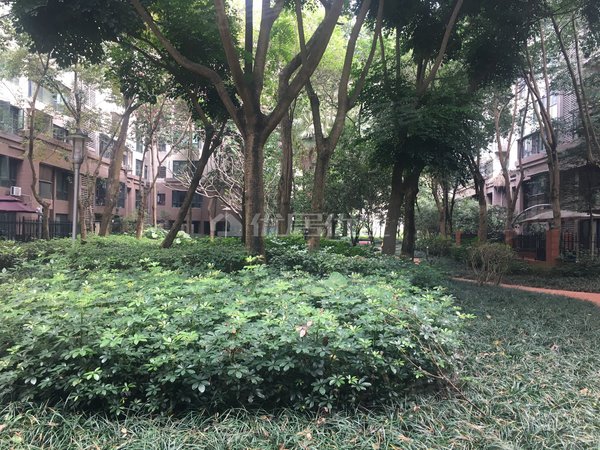 南宁青秀凤岭北荣和大地二组团阳光里荣和大地 精装三房 齐配出租 高