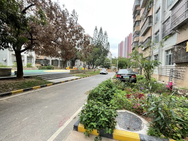 深圳南山科技园松坪村梅苑松坪山梅苑三房 双阳台,4楼 爬楼不费劲!