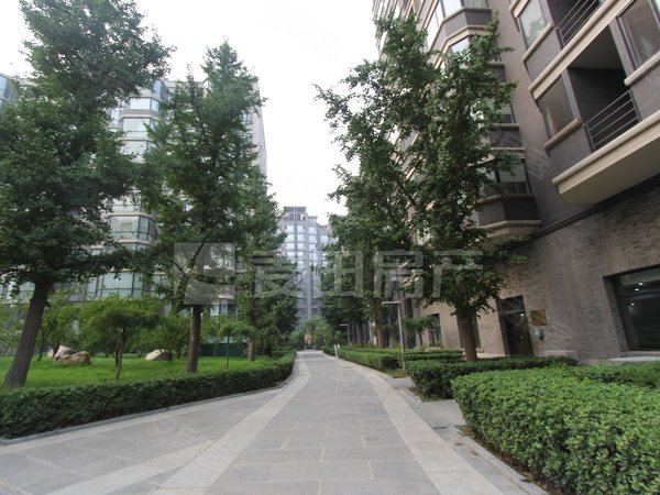 北京朝阳亚运村安立花园小区15号线100米 安立花园小区 南北通透 3居