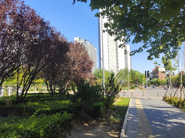 【多图】公园悦府(一区),回龙观租房,8号线平西府200米 公园悦府空中