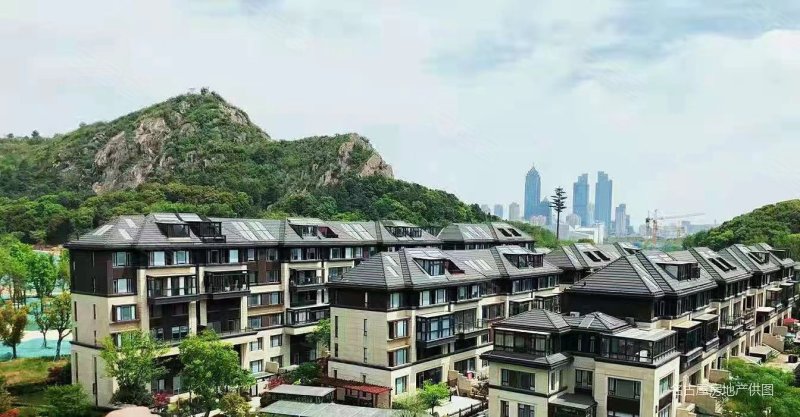 龙湖狮山原著(别墅)4室2厅2卫168.57㎡南北1280万