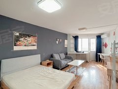 北京朝阳亚运村慧忠里(C区) 精装修一居室 房屋清洁  随时看房出租房源真实图片