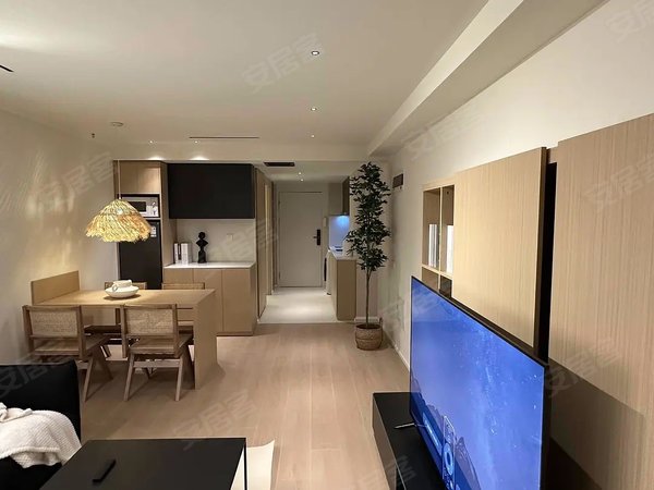 1号线九棵树地铁口,精装一居开间,家具家电齐全,押一付一月付