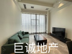 城西唐道译旁 唐府公寓 拎包入住精装修一室一厅