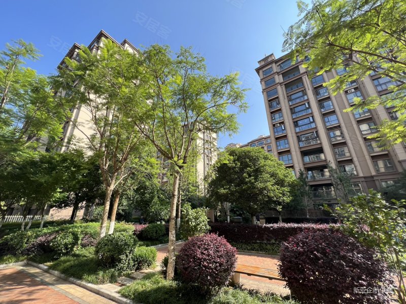 地铁口 中海半岛华府 电梯花园洋房南北通透 带80平 花园